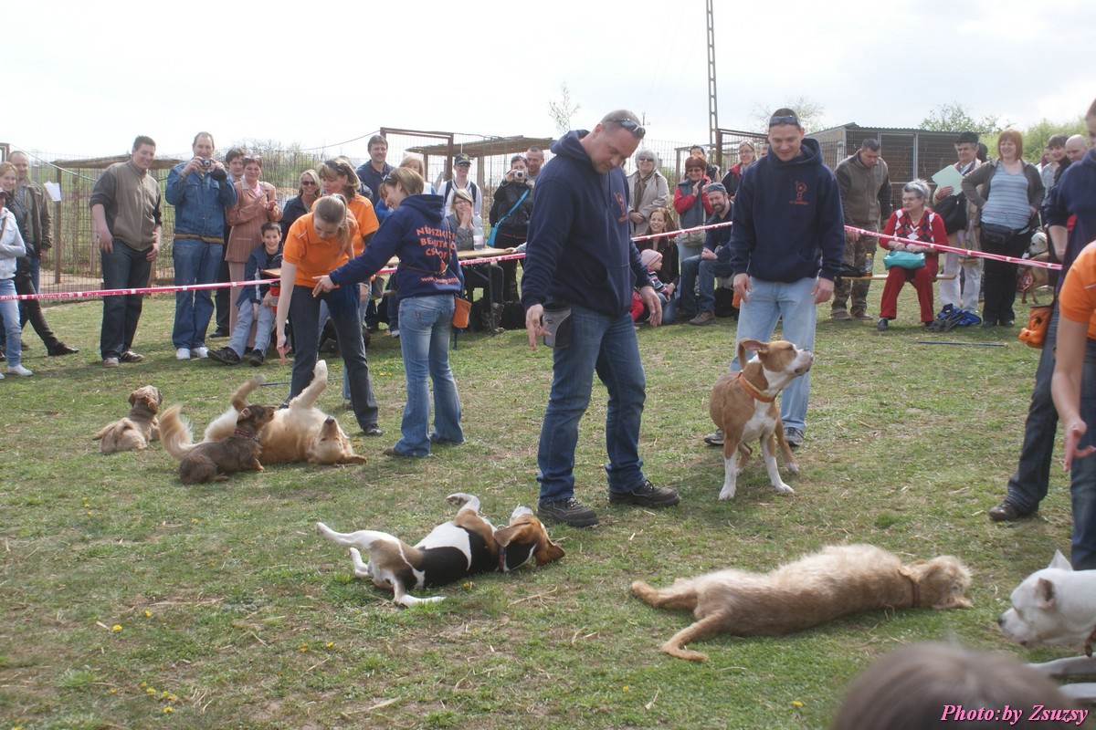 DSC02137.jpg