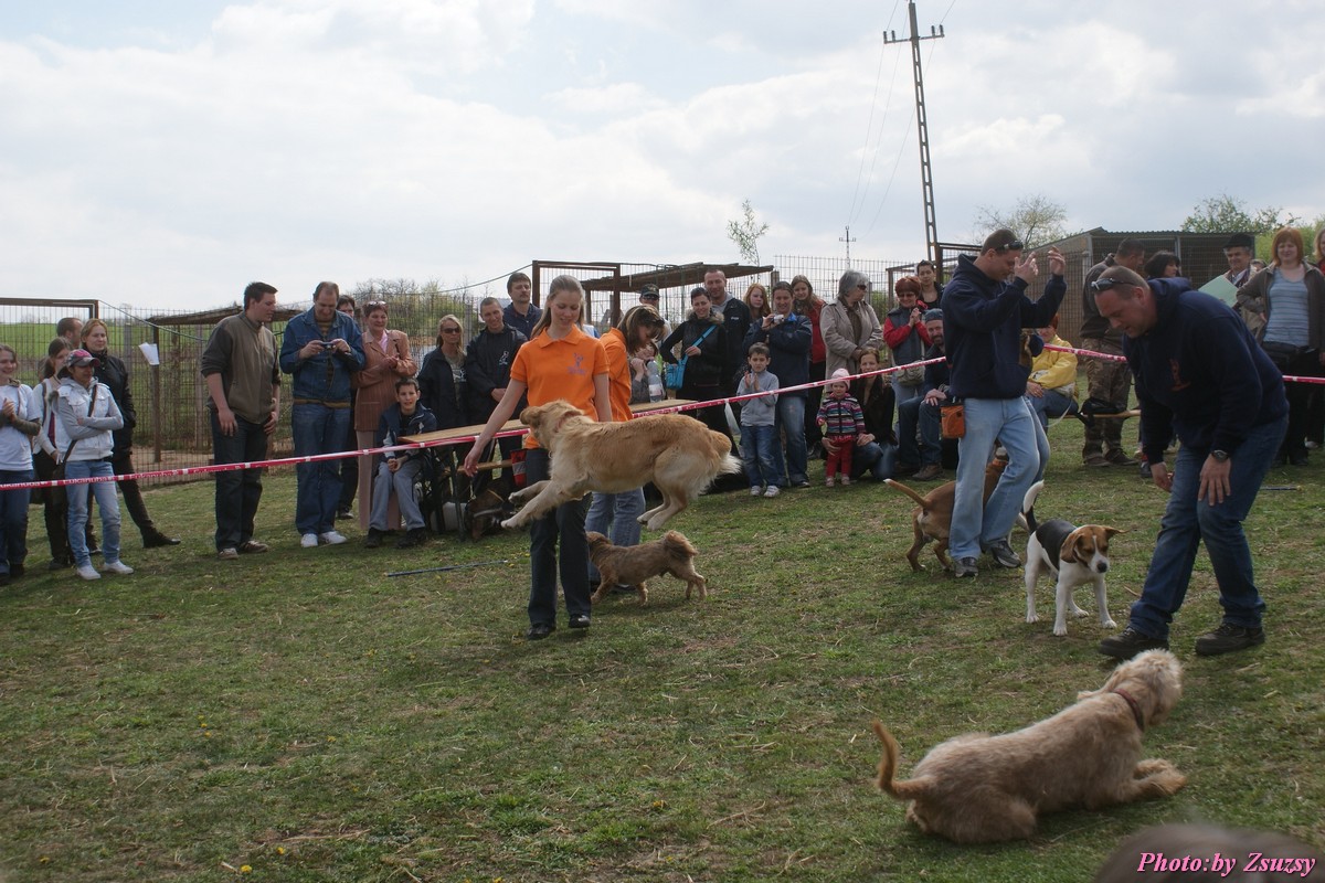 DSC02140.jpg