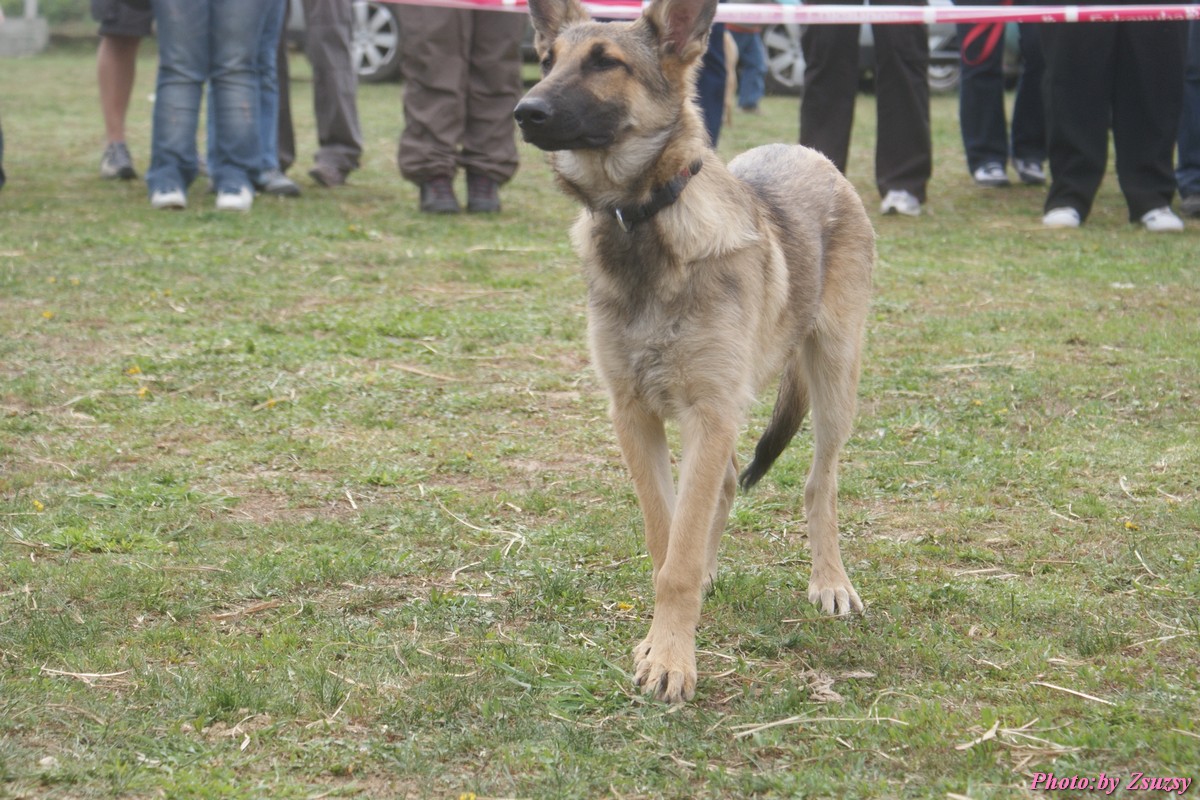 DSC02165.jpg