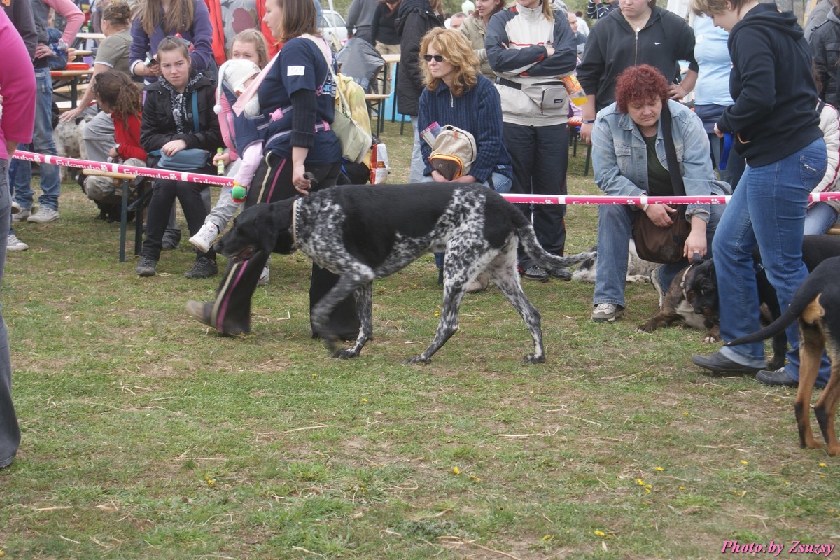 DSC02171.jpg