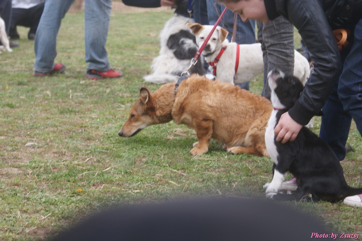 DSC02201.jpg