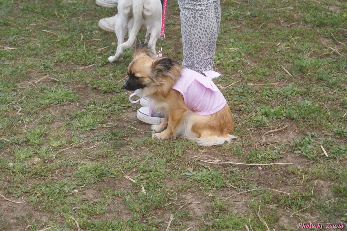 DSC02213.jpg