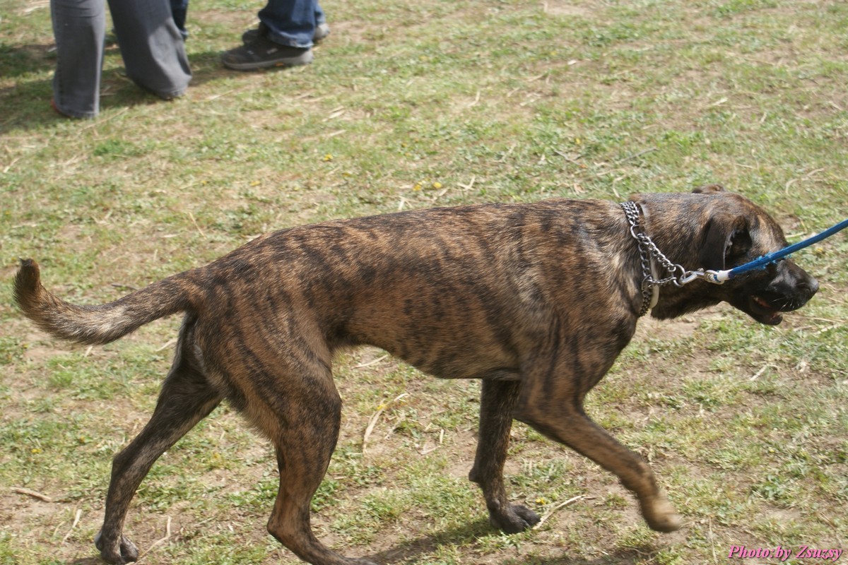 DSC02276.jpg
