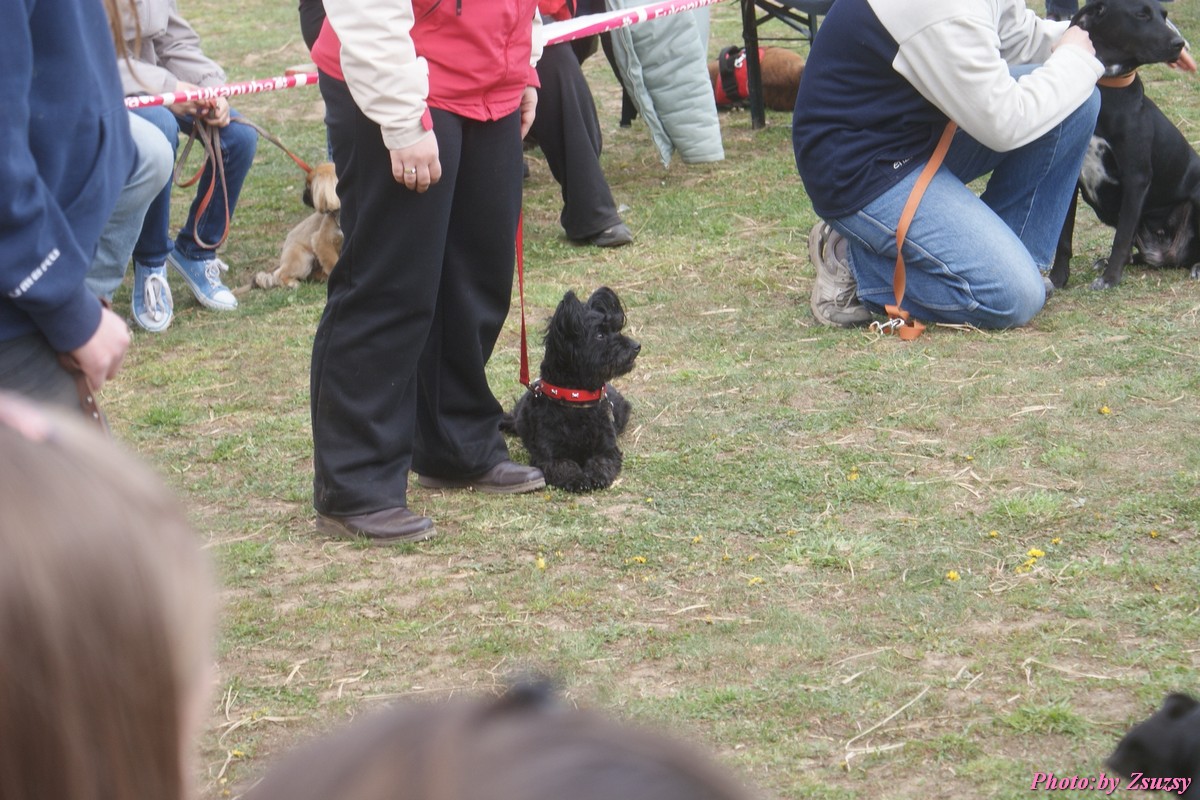 DSC02291.jpg