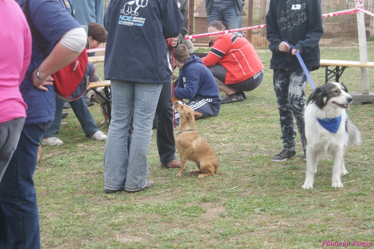 DSC02294.jpg