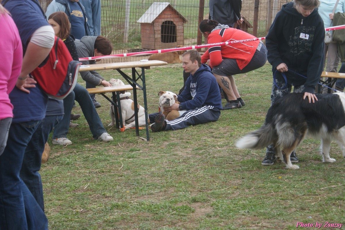 DSC02296.jpg