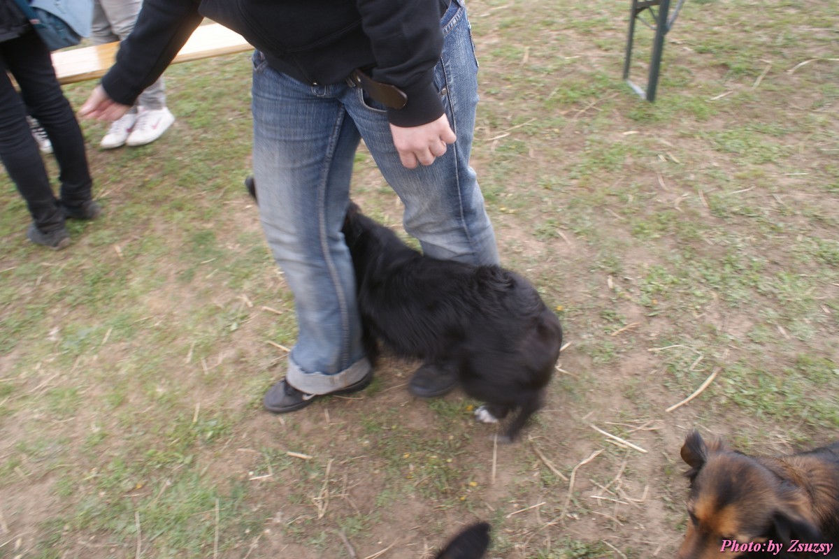 DSC02301.jpg