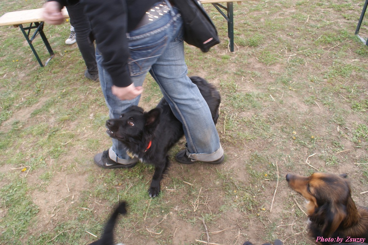 DSC02302.jpg
