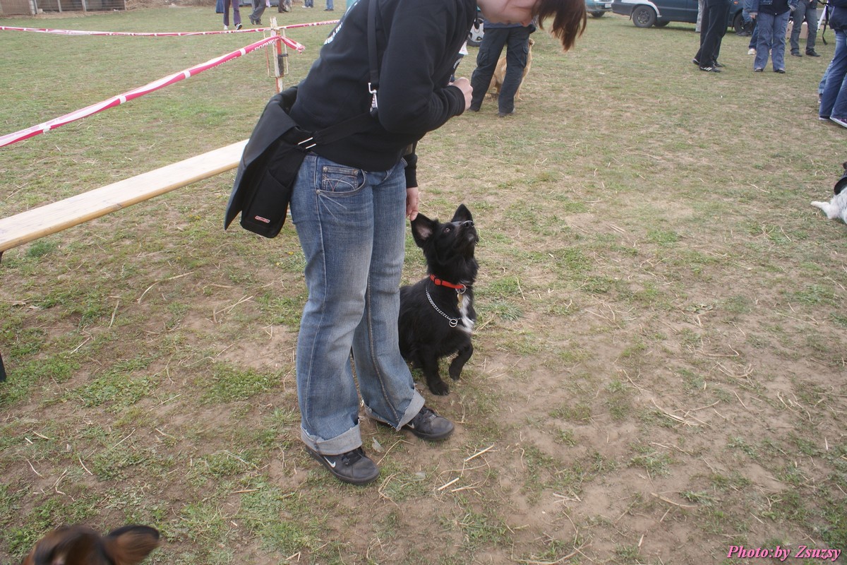 DSC02306.jpg