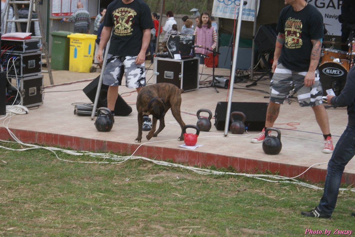 DSC02370.jpg