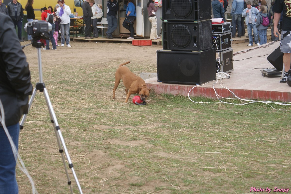 DSC02375.jpg