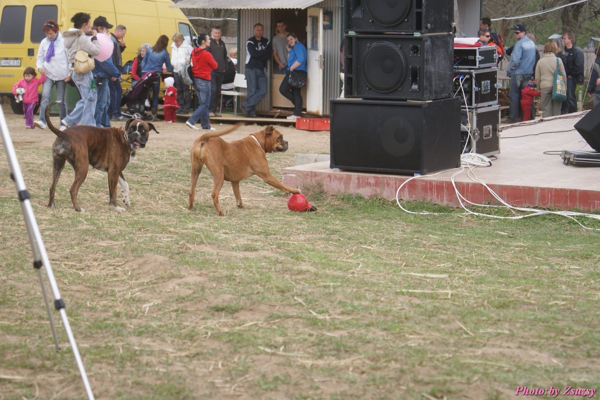 DSC02380.jpg