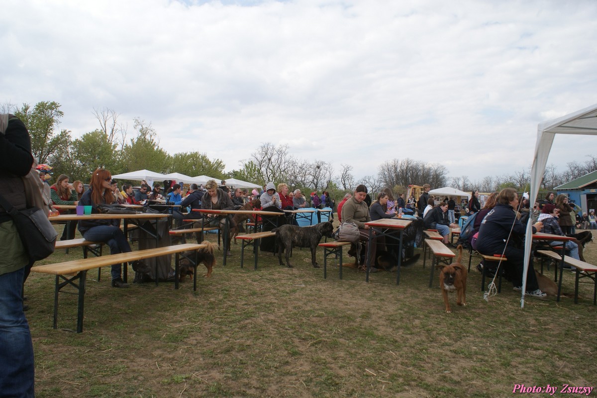 DSC02396.jpg