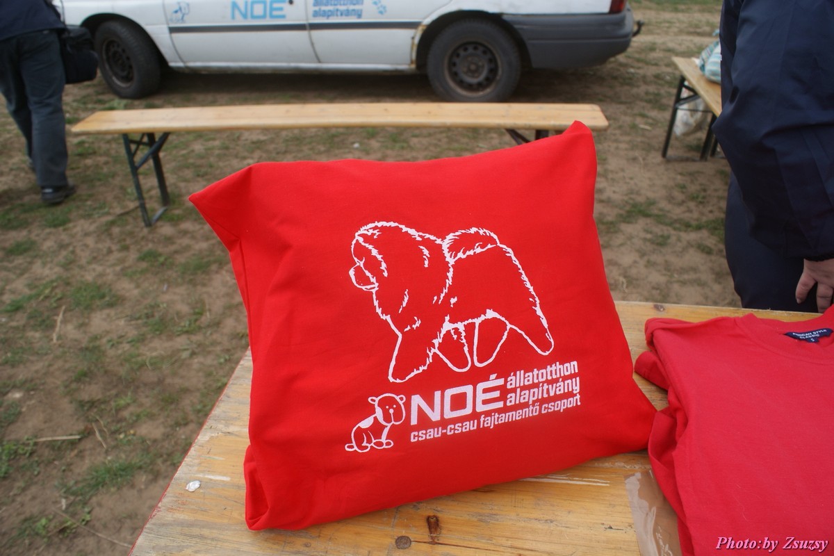 DSC02410.jpg