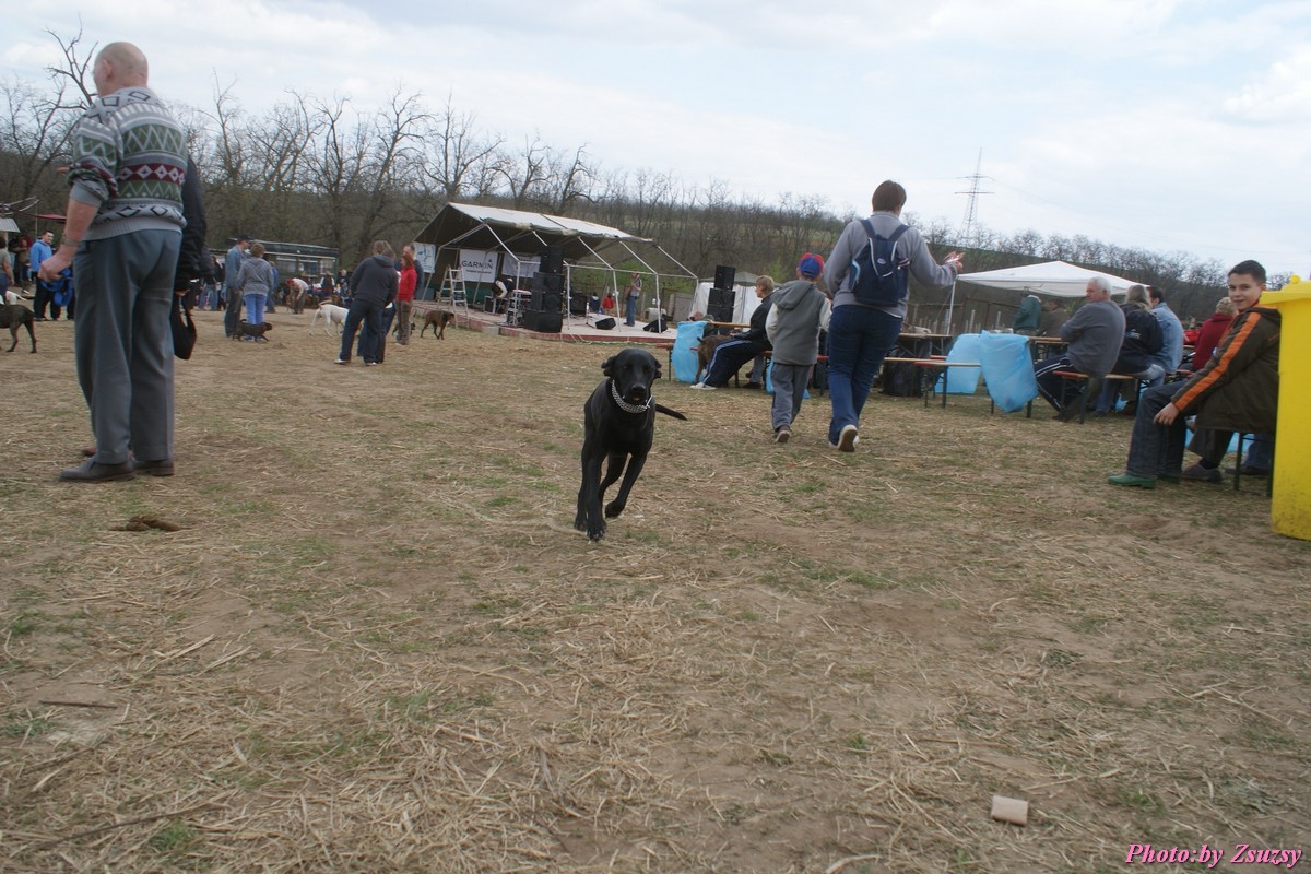 DSC02417.jpg