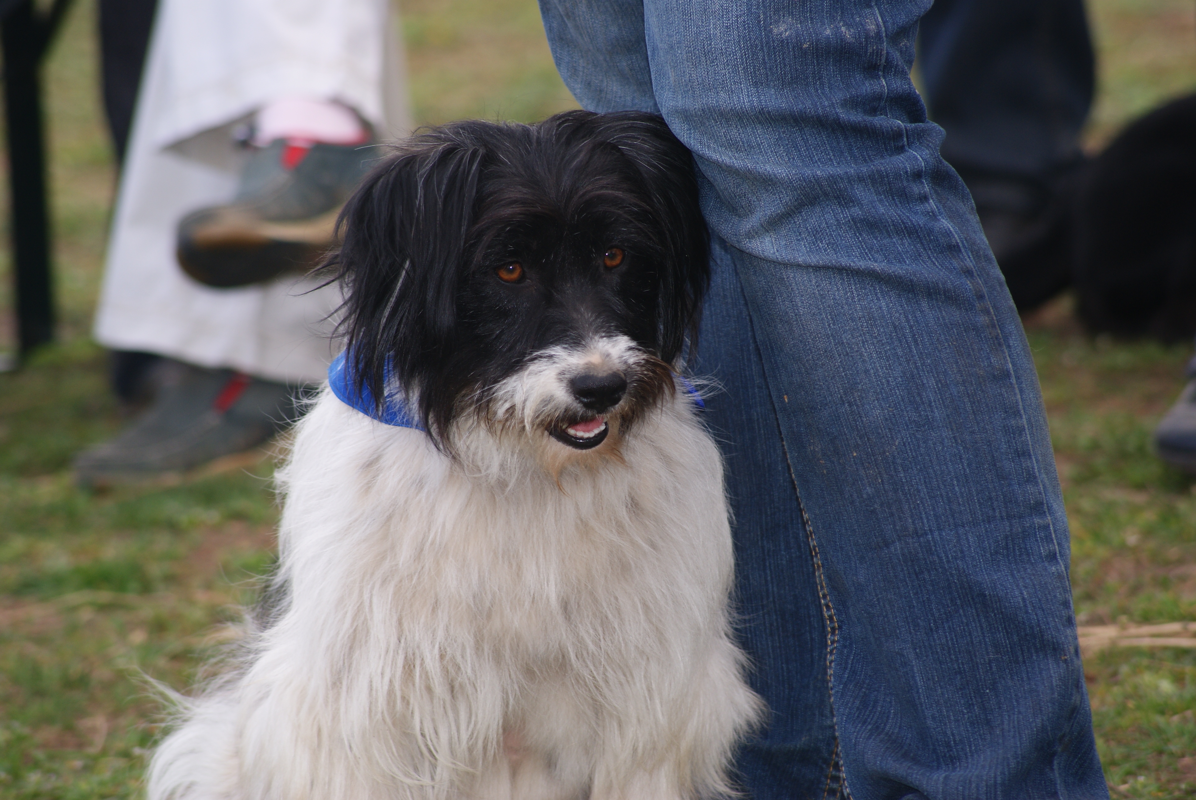 DSC09396.JPG