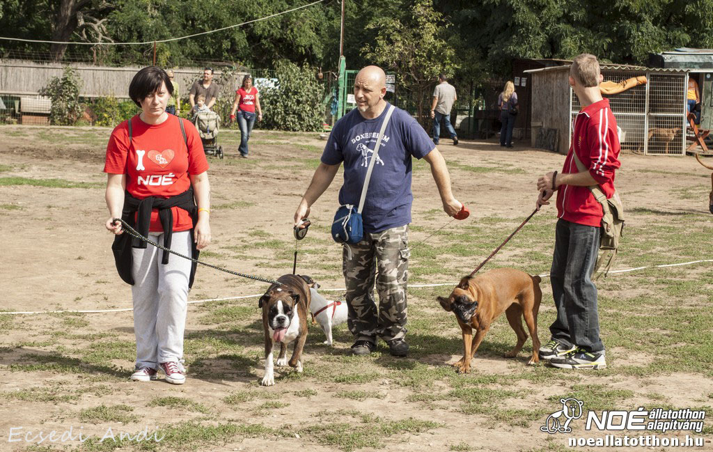 _mg_6478.jpg