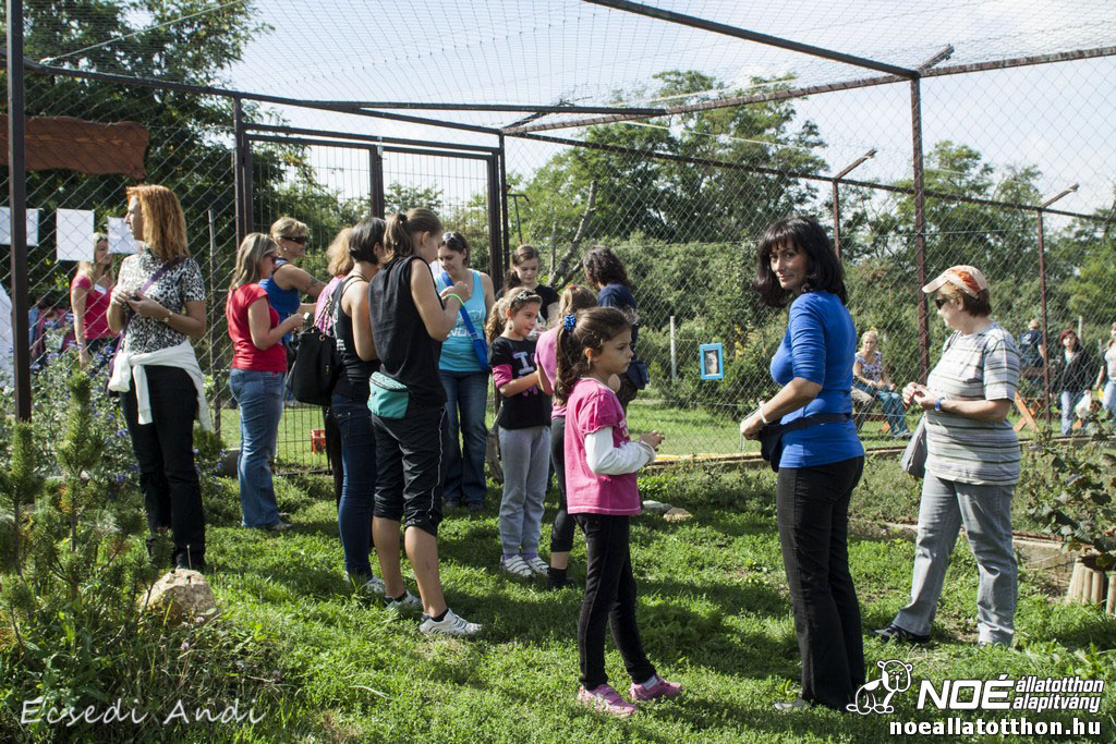 _mg_6547.jpg