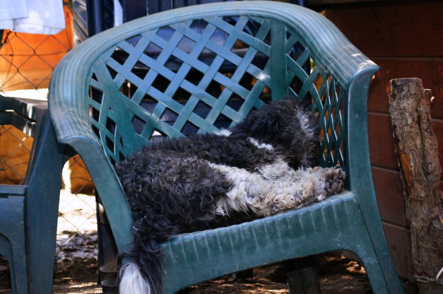 barka_900x598_2.jpg