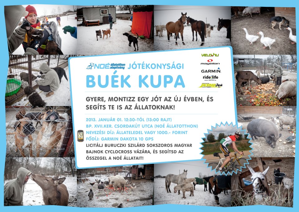 buek_bicaj_kupa_3.jpg