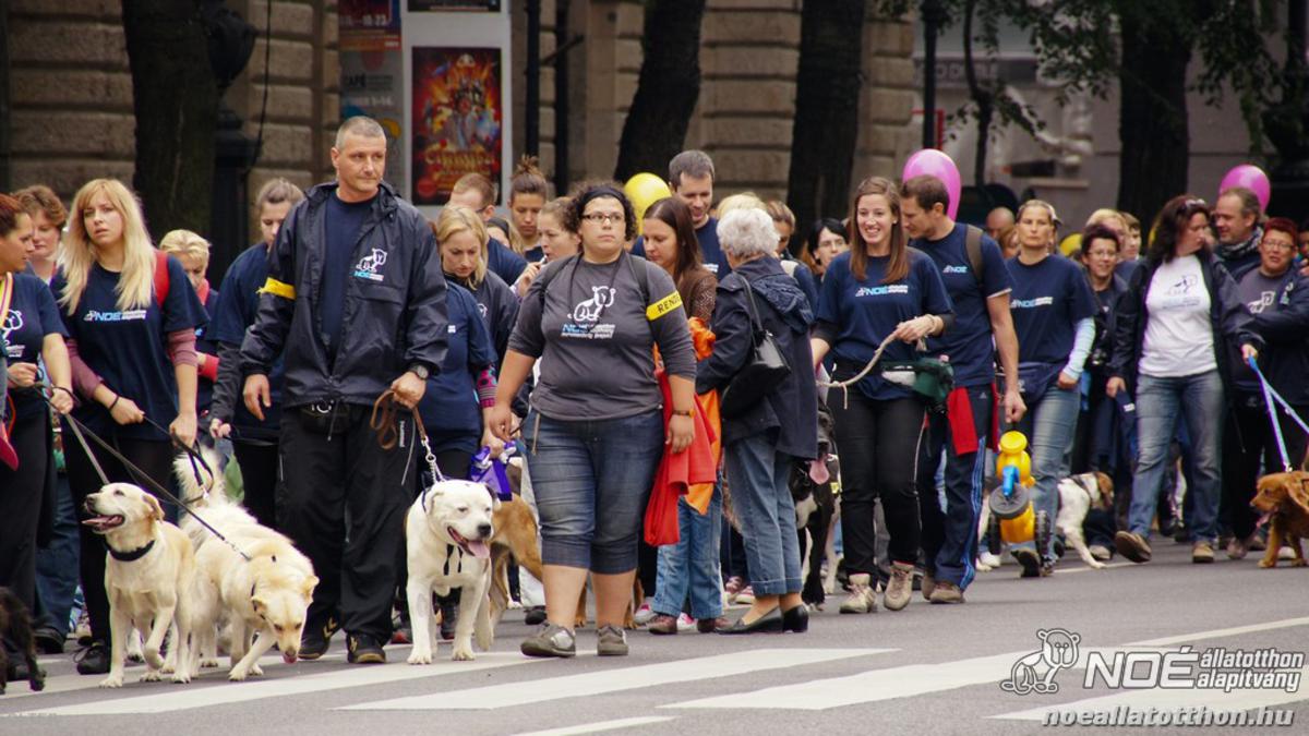 dsc00219_1200x675.jpg