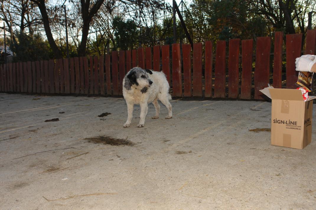 dsc00519_2.jpg
