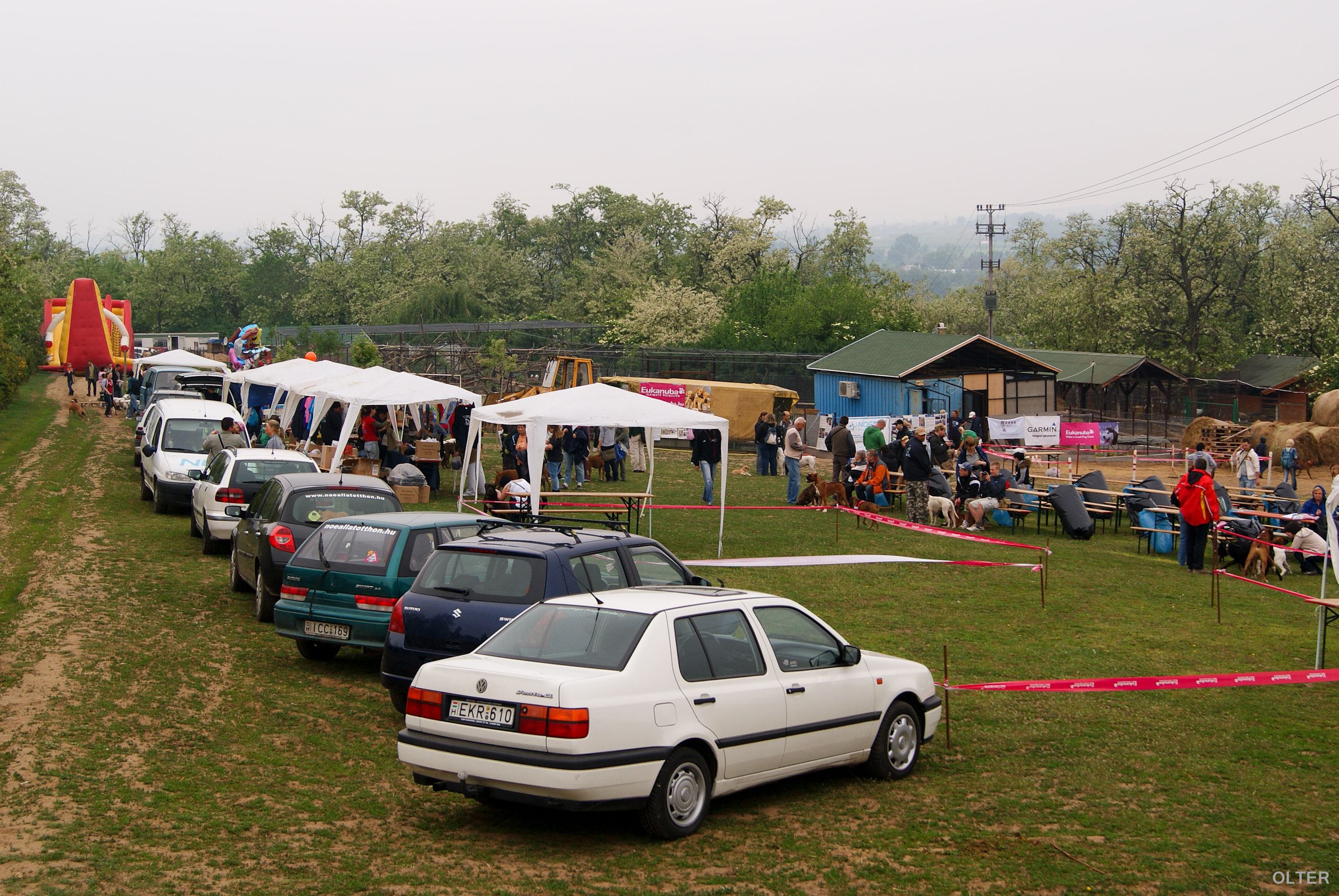 dsc00696.jpg