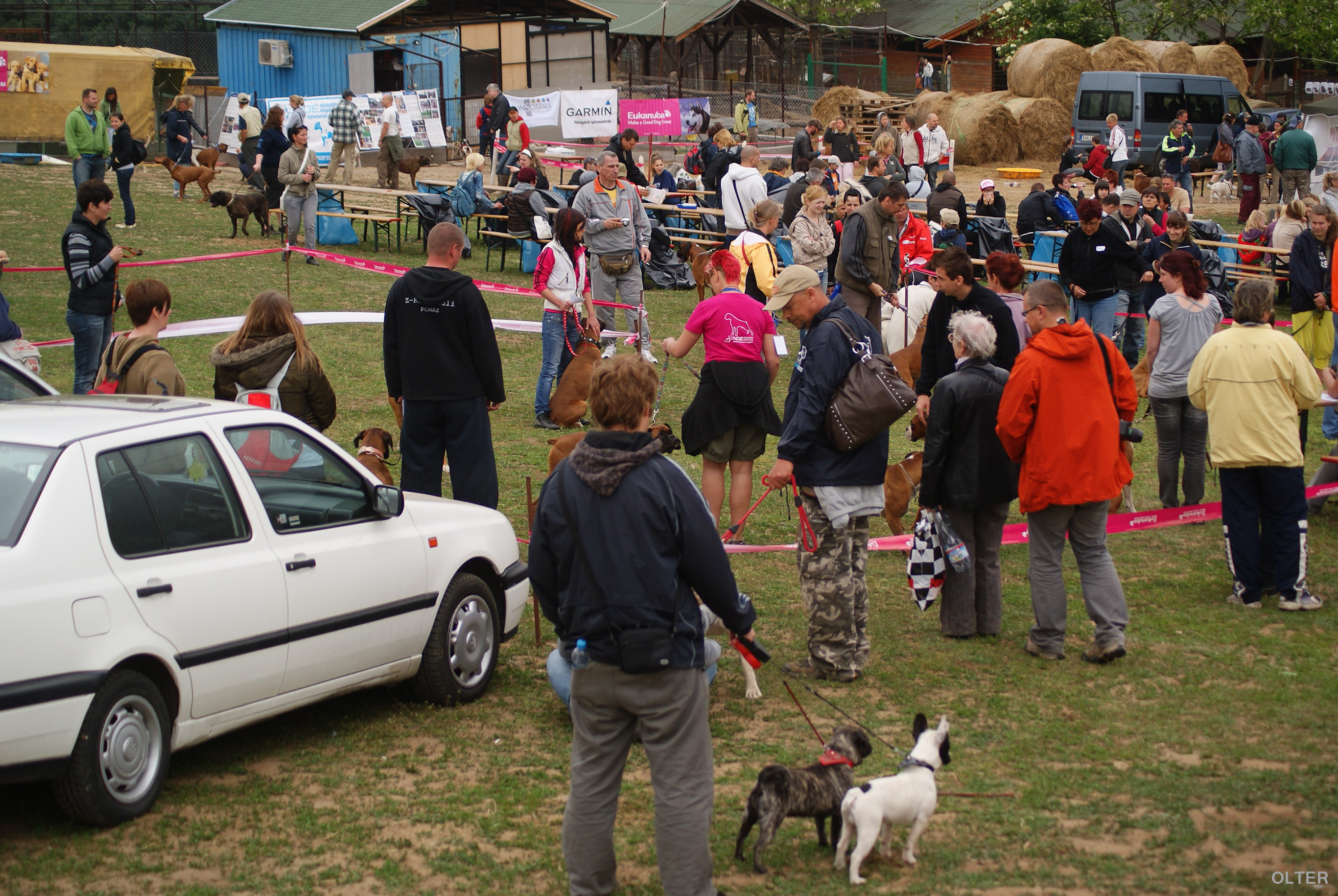 dsc00965.jpg