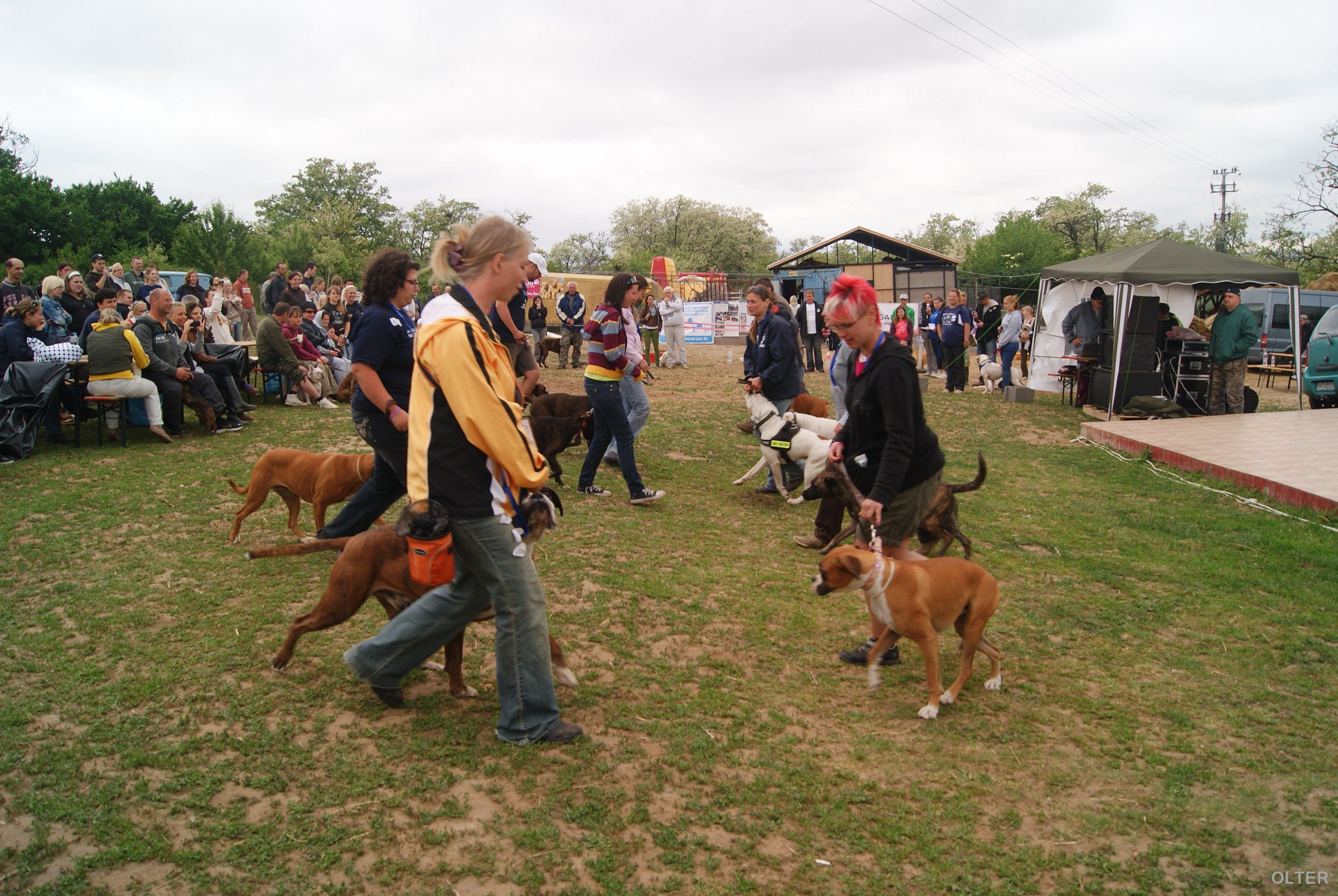 dsc01005.jpg