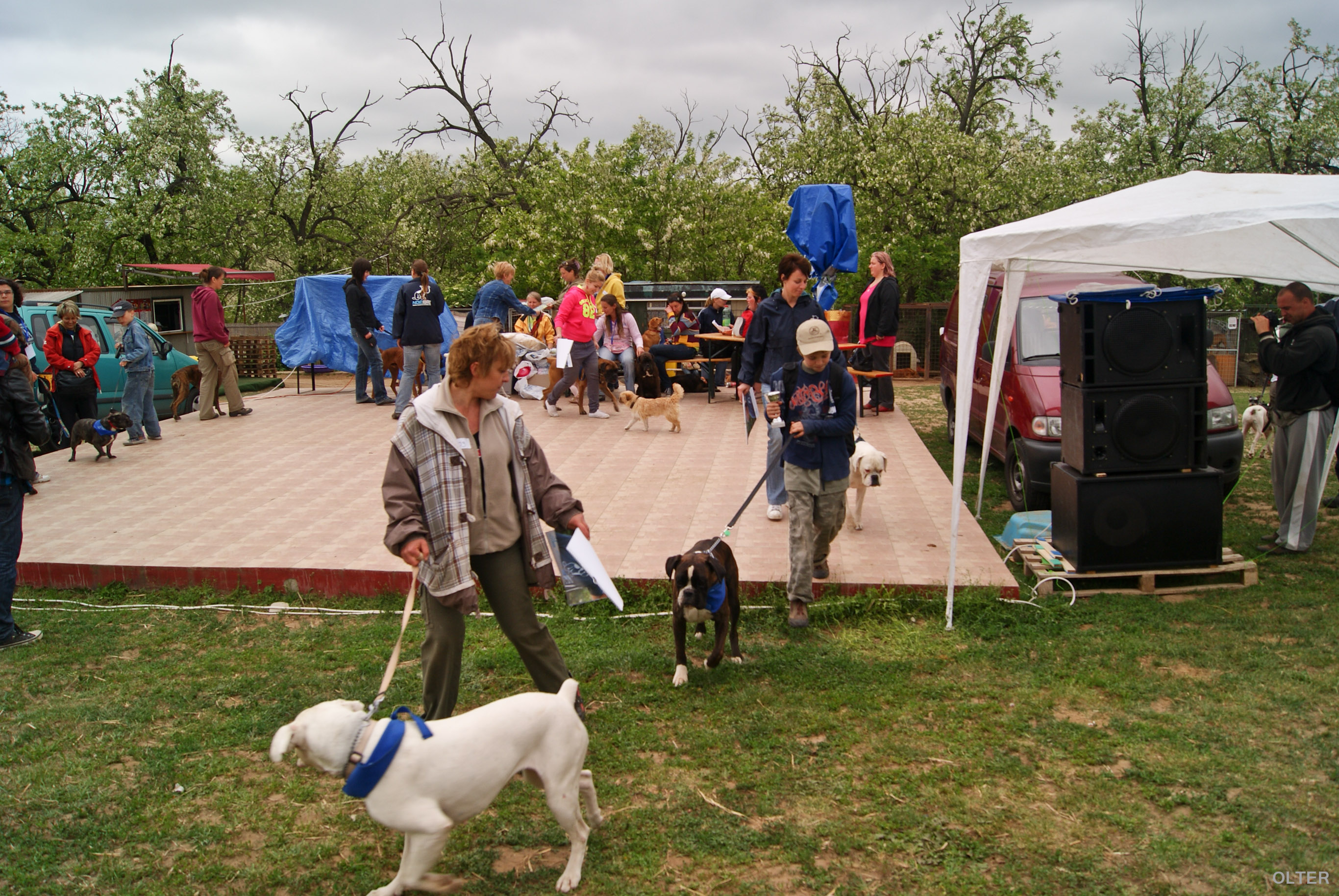 dsc01235.jpg