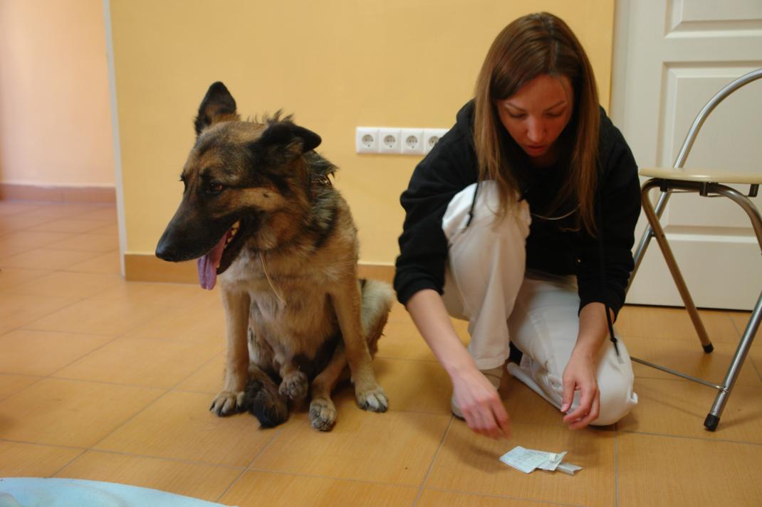 dsc01364_2.jpg