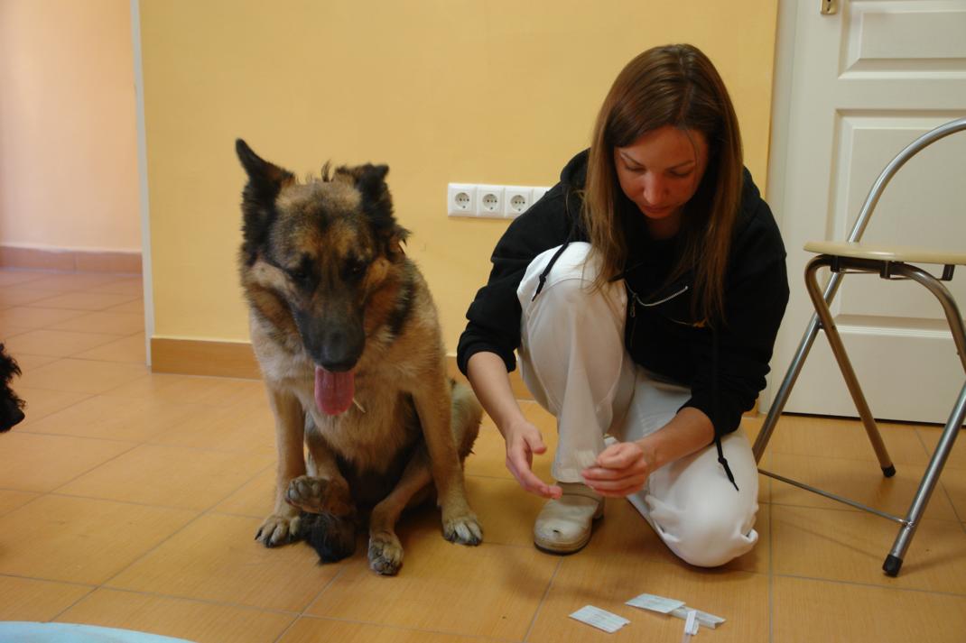 dsc01365_2.jpg