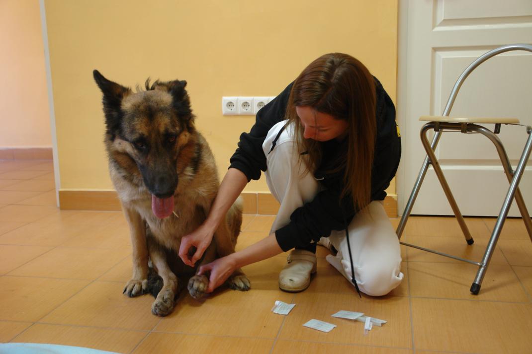 dsc01366_2.jpg