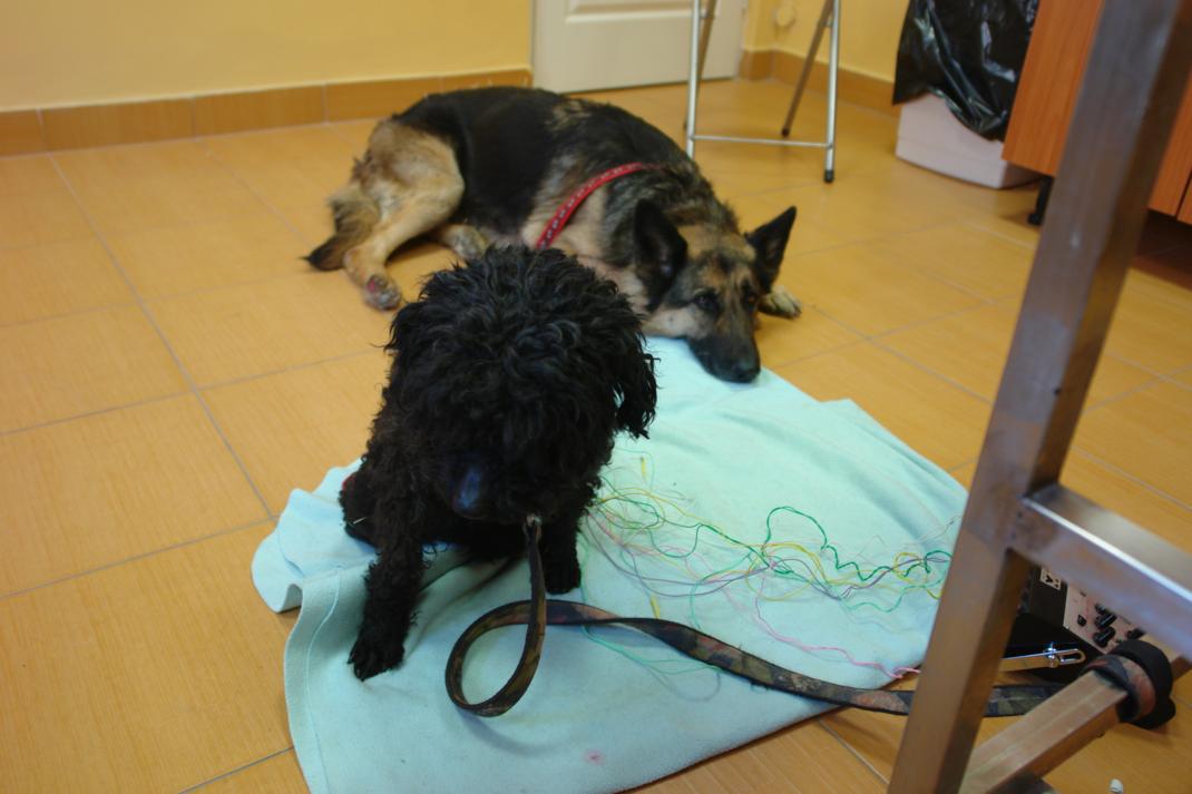 dsc01415_3.jpg