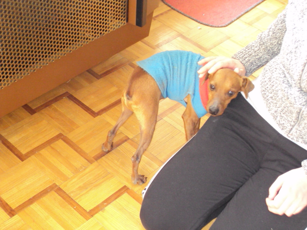 dsc01532.jpg