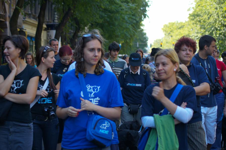 dsc03330_900x598.jpg