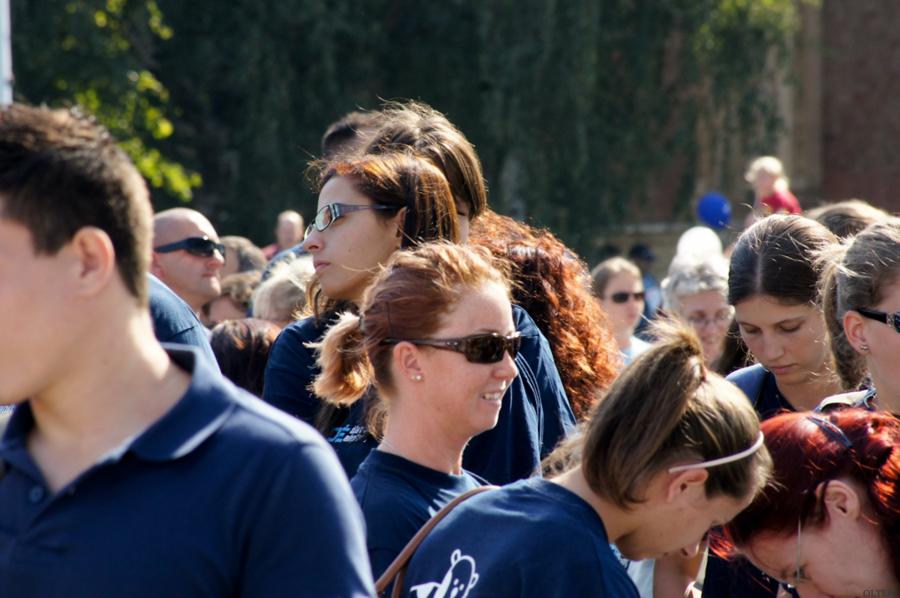 dsc03389_900x598.jpg