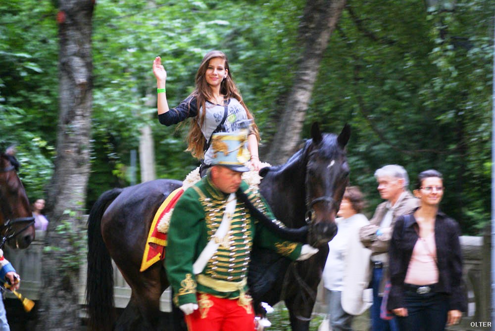 dsc03470.jpg