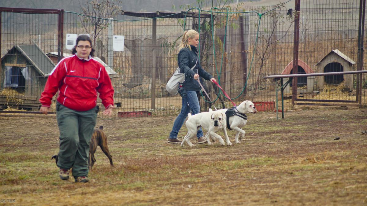 dsc04255_1200x674_2.jpg
