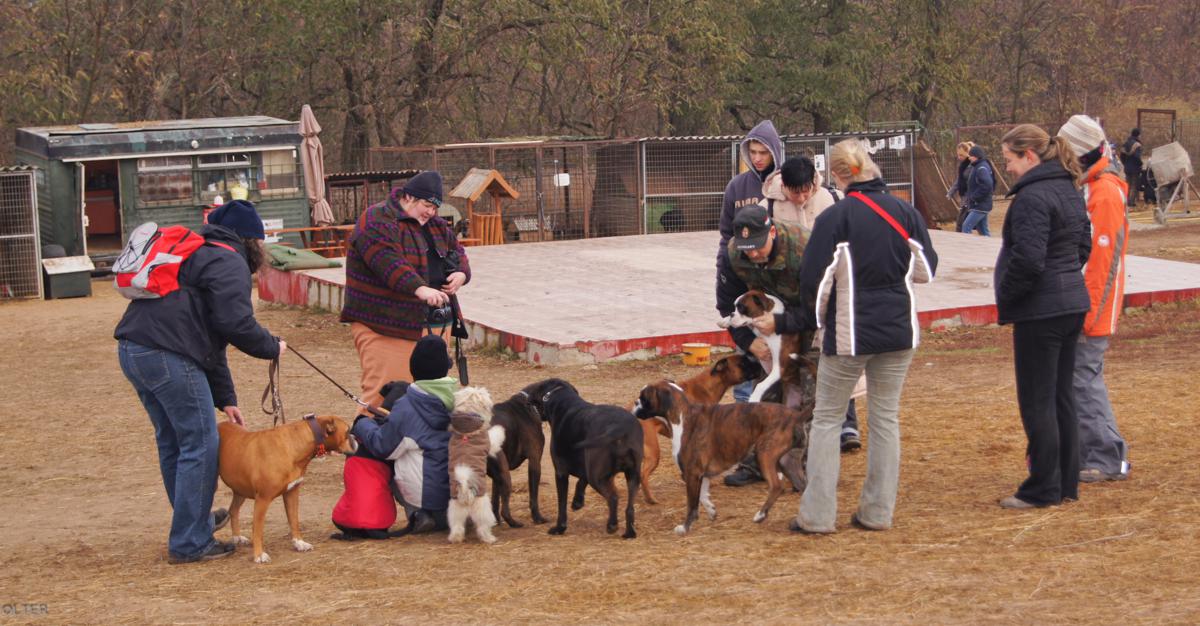 dsc04338_1200x626_2.jpg