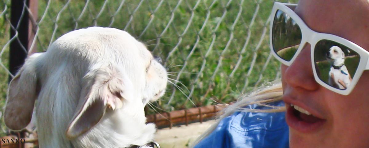 dsc046873_1200x481.jpg