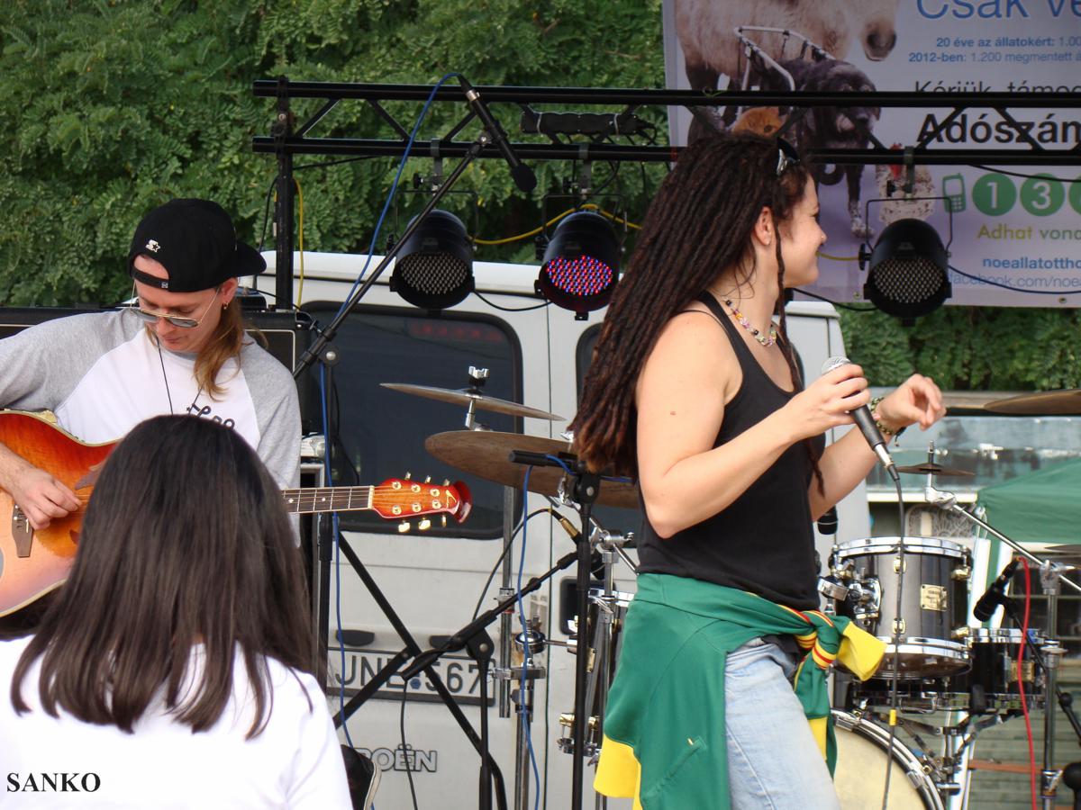dsc04708_1200x900.jpg
