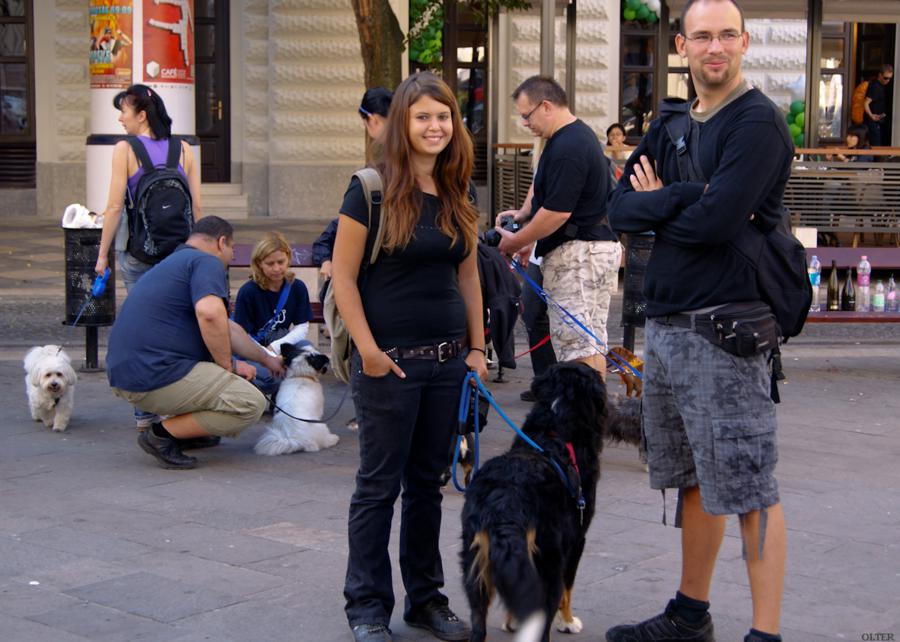 dsc05799_900x642.jpg