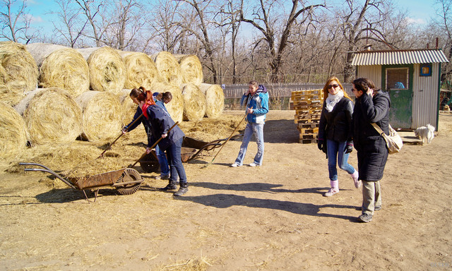 dsc06108_2.jpg