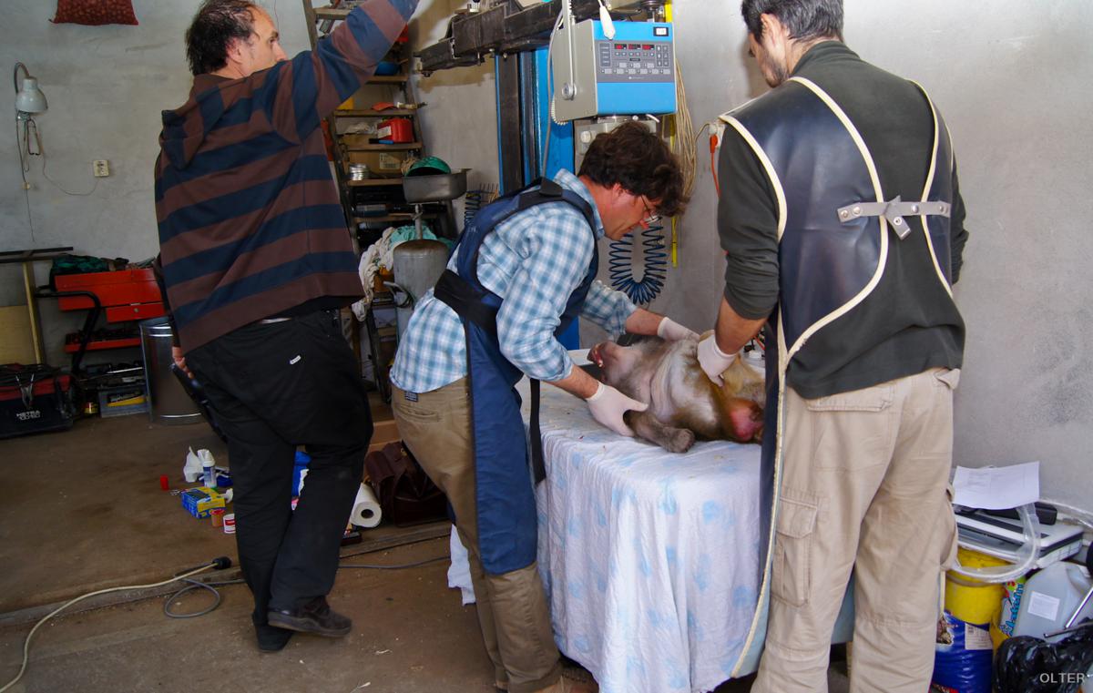 dsc06876_1200x761.jpg
