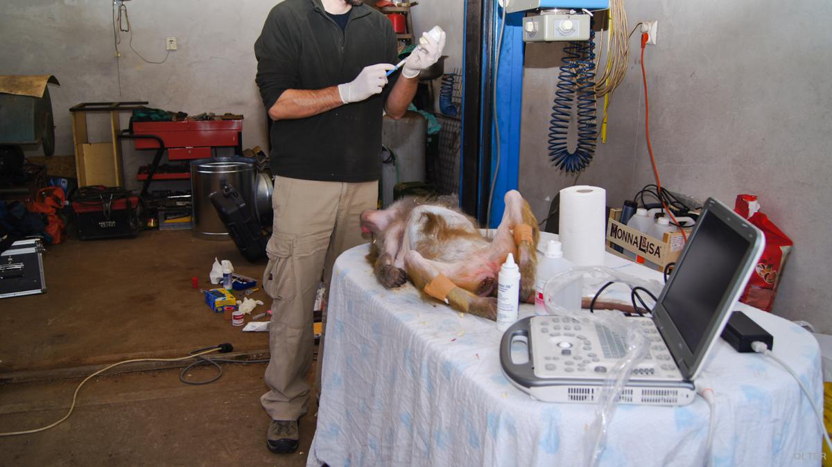 dsc06881_1200x674.jpg