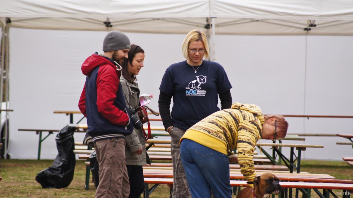 dsc07350_1200x674.jpg