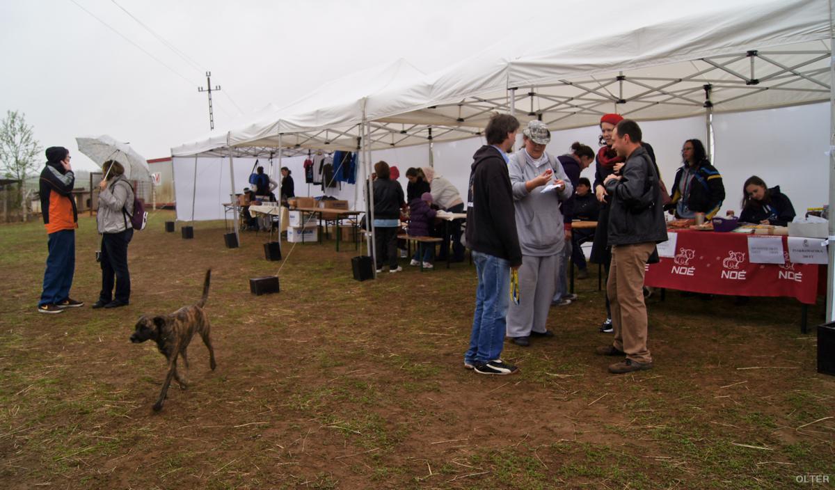dsc07430_1200x704.jpg