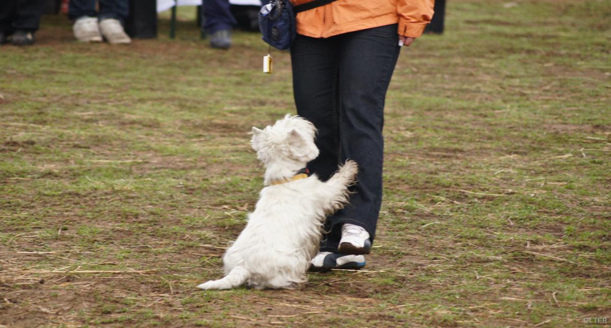dsc07465_1200x644.jpg