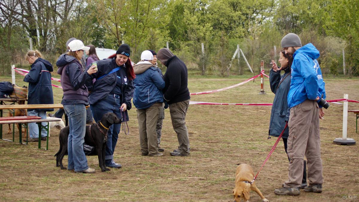 dsc07633_1200x674.jpg